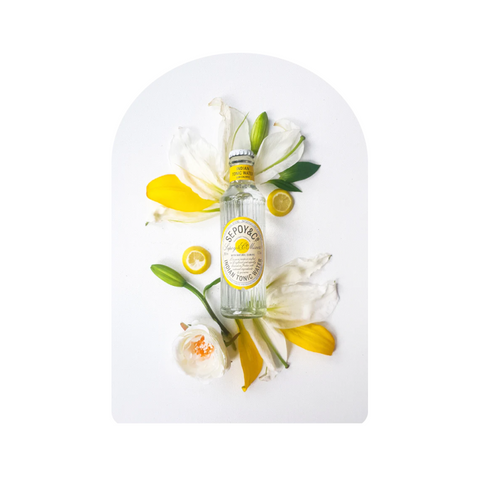 Sepoy & Co Indian Tonic Water - 200ml Multipack