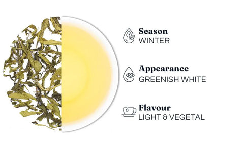 Dorje Tea Autumn Flush - Darjeeling Green Tea